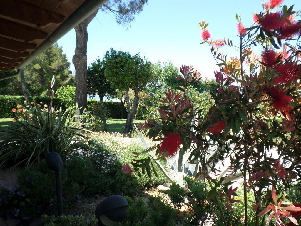 Bed And Breakfast " Il Tesoro Di Mario " Falconara Marittima Eksteriør billede