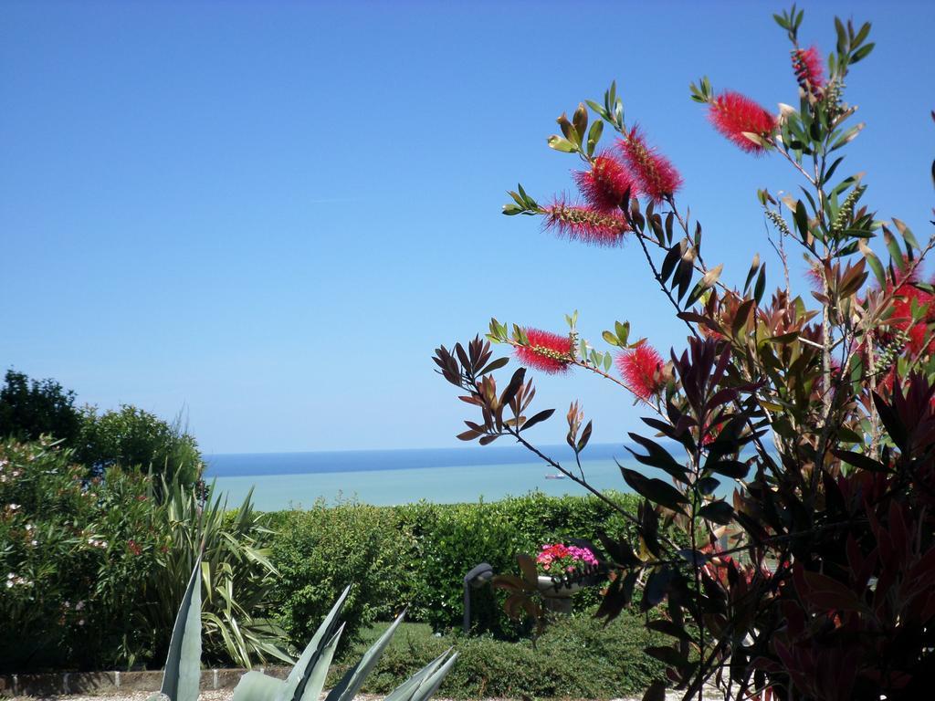 Bed And Breakfast " Il Tesoro Di Mario " Falconara Marittima Eksteriør billede