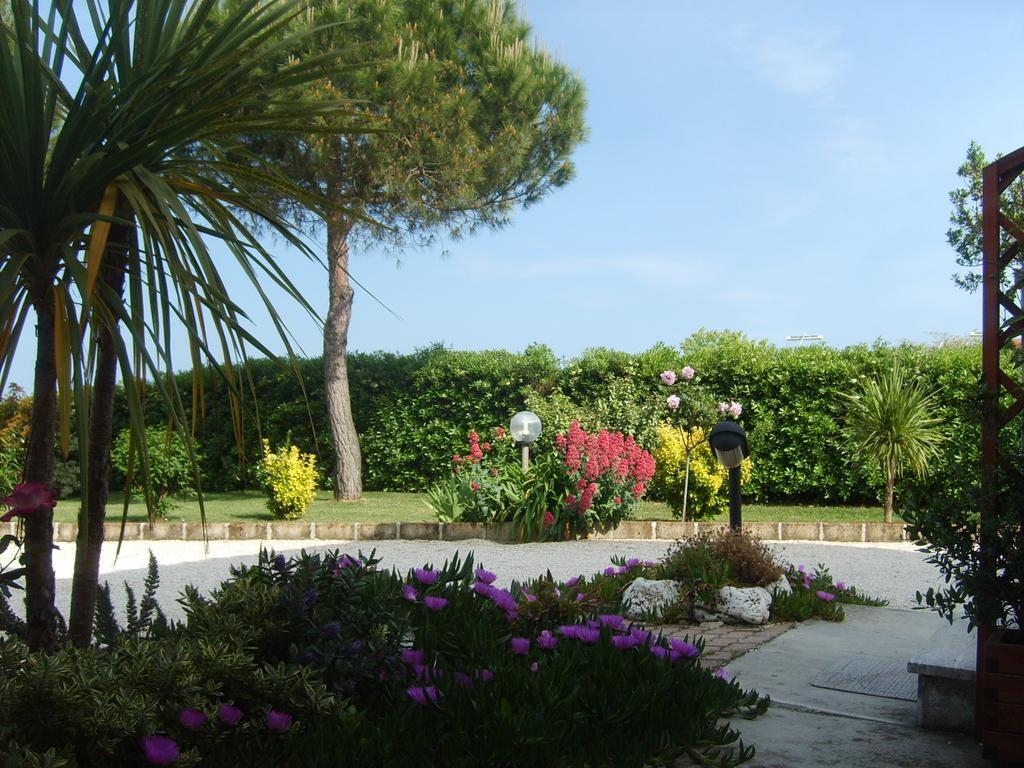 Bed And Breakfast " Il Tesoro Di Mario " Falconara Marittima Eksteriør billede