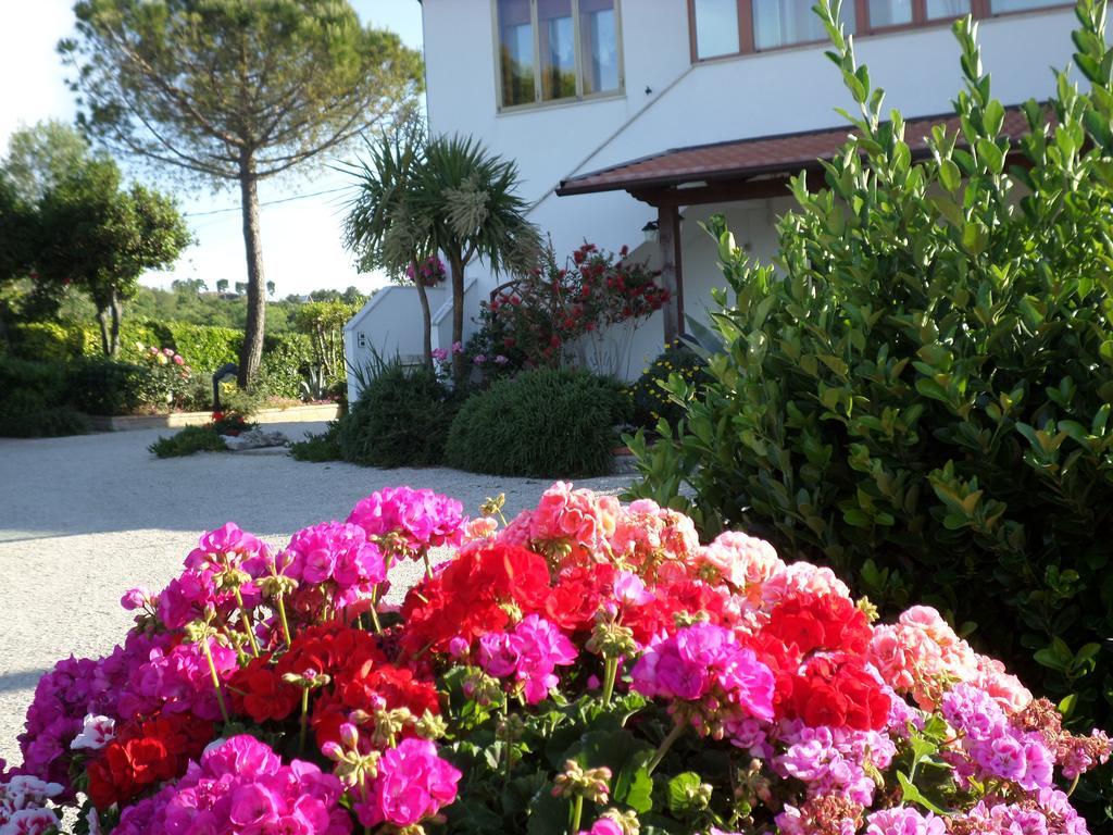 Bed And Breakfast " Il Tesoro Di Mario " Falconara Marittima Eksteriør billede