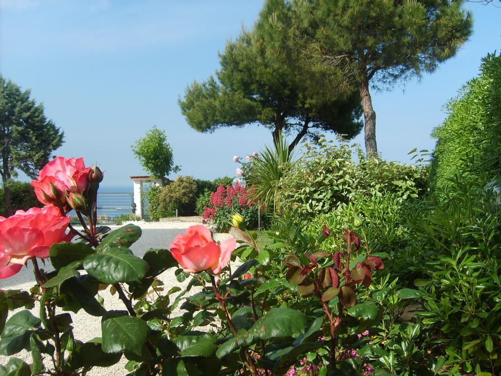 Bed And Breakfast " Il Tesoro Di Mario " Falconara Marittima Eksteriør billede